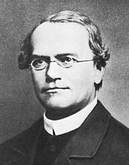 Portrait von Gregor Mendel