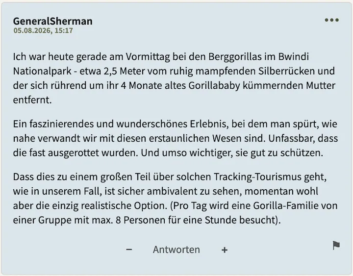 Bester Kommentar vom 5. August