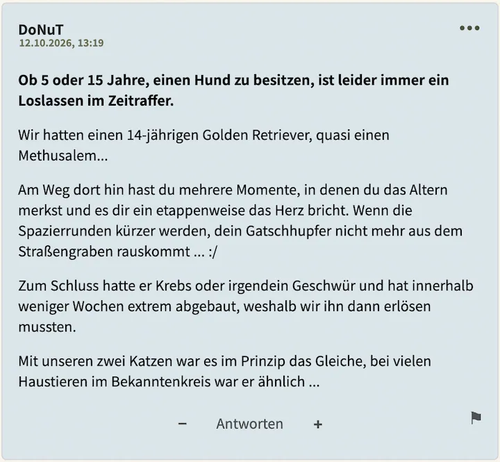 DoNuT Kommentar vom 12. Oktober