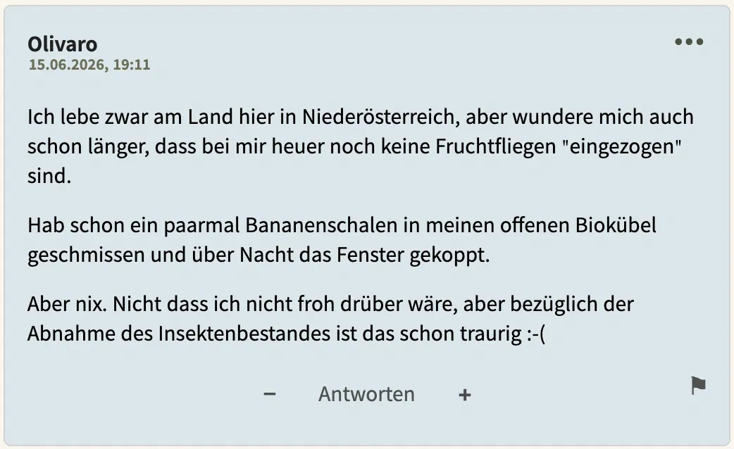 Noch ein bester Kommentar vom 15. Juni